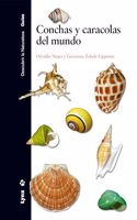 Conchas y caracolas del mundo