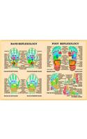 Hand & Foot Reflexology -- A4