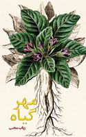 Mehrgiyah (the Mandragora)