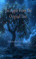 Apple From The Original Tree