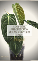 Complete Philodendron Melanochrysum Care