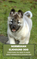 Norwegian Elkhound Dog