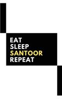 Eat Sleep Santoor Repeat