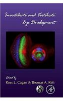 Invertebrate and Vertebrate Eye Development