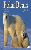 POLAR BEARS 2019 CALENDAR