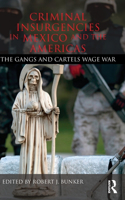 Criminal Insurgencies in Mexico and the Americas