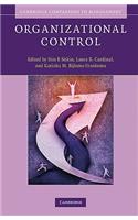 Organizational Control