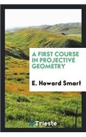 A First Course in Projective Geometry