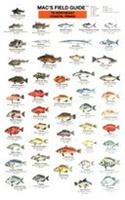 Mac's Field Guides: Northeast Coastal Fish