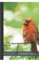 Cardinalis Notes
