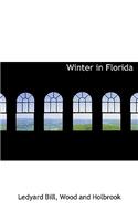 Winter in Florida