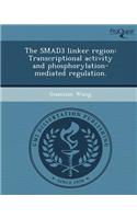 The Smad3 Linker Region: Transcriptional Activity and Phosphorylation-Mediated Regulation