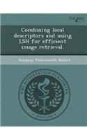 Combining Local Descriptors and Using Lsh for Efficient Image Retrieval: (English)