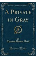 A Private in Gray (Classic Reprint)