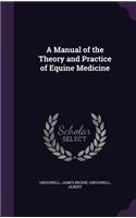 A Manual of the Theory and Practice of Equine Medicine