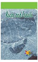 Rocks and Fossils