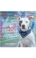 Pit Bull Heroes