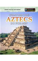 What Did the Aztecs Do for Me?