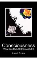 Consciousness