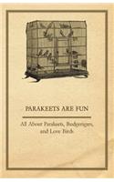 Parakeets are Fun - All About Parakeets, Budgerigars, and Love Birds