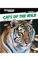 Cats of the Wild