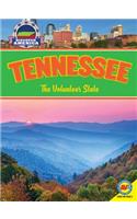 Tennessee: The Volunteer State