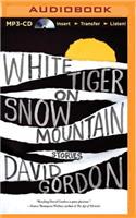 White Tiger on Snow Mountain