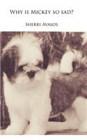 Why is Mickey so sad?: (English)