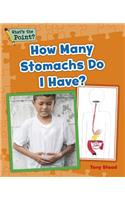 How Many Stomachs Do I Have?