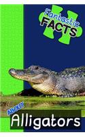 Fantastic Facts about Alligators
