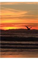 Mind Blowing Seagull Sun Set Jounals: 150 page lined journal