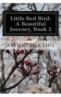 Little Red Bird: A Beautiful Journey, Book 2