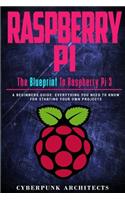 Raspberry Pi