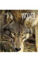 Wolves: (Living Wild)