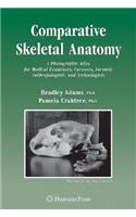 Comparative Skeletal Anatomy