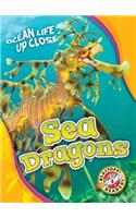 Sea Dragons