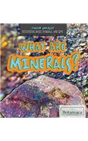 What Are Minerals?: (Junior Geologist)