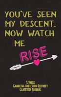 You've Seen My Descent Now Watch Me Rise