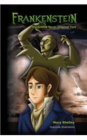 Frankenstein Illustrated Novel