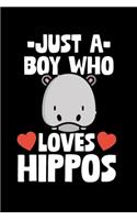 Just A Boy Who Loves Hippos