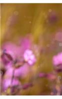 Red Campion Notebook