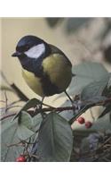 Bird Notebook Large Size 8.5 x 11 Ruled 150 Pages