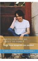 Youth Perceptions about the Family