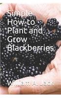 Simple How-To Plant and Grow Blackberries: (12 Trees for Home and Garden Landscaping)