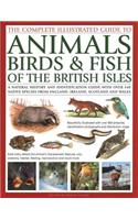Complete Illustrated Guide to Animals, Birds & Fish of the British Isles