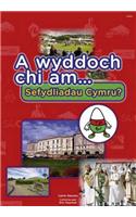 Cyfres a Wyddoch Chi: A Wyddoch Chi am Sefydliadau Cymru?