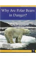 Why Are Polar Bears in Danger?