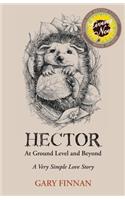 Hector At Ground Level and Beyond