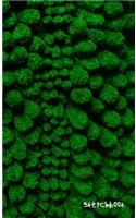 Fuzzball Sketchbook - Blazing Green