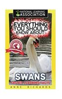 Everything You Should Know About: Swans Faster Learning Facts